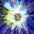 Abstract Floral - Purple